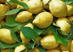 Limone Costa d'Amalfi