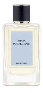 purple rain prada
