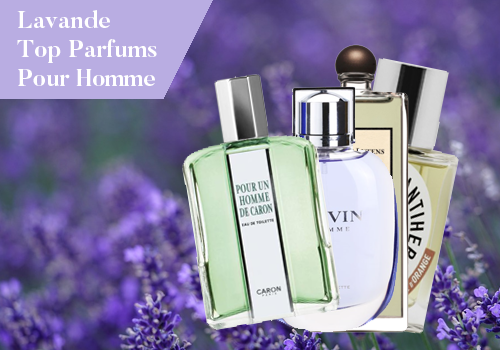 Les meilleurs parfums à la lavande pour homme